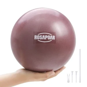 9 Inch Mini Pilates Ball